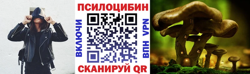 Псилоцибиновые грибы Psilocybine cubensis  Купить закладки  Фурманов 